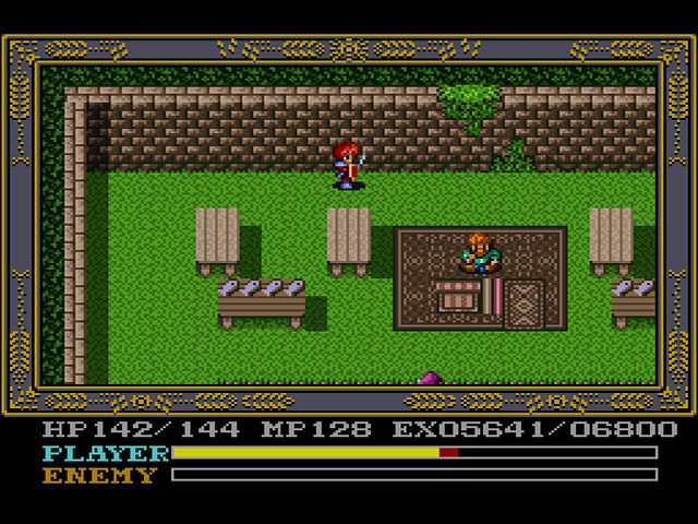 Ys IV: Mask of the Sun