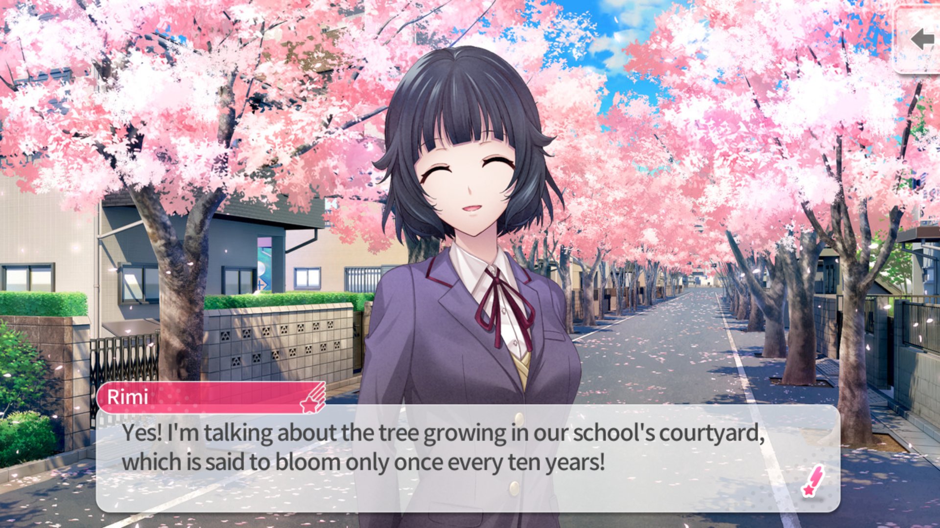 Girl’s Blossom Project: Unbelievable Real Love