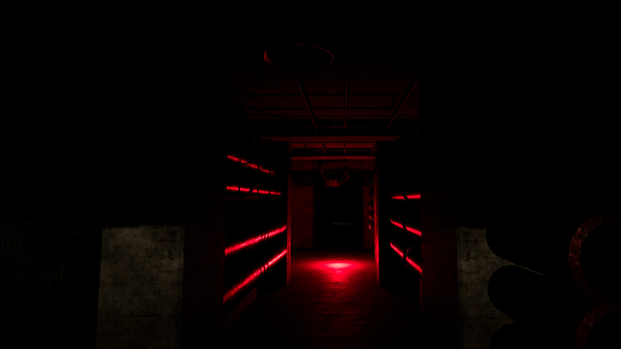 Backrooms Project: The Lost File