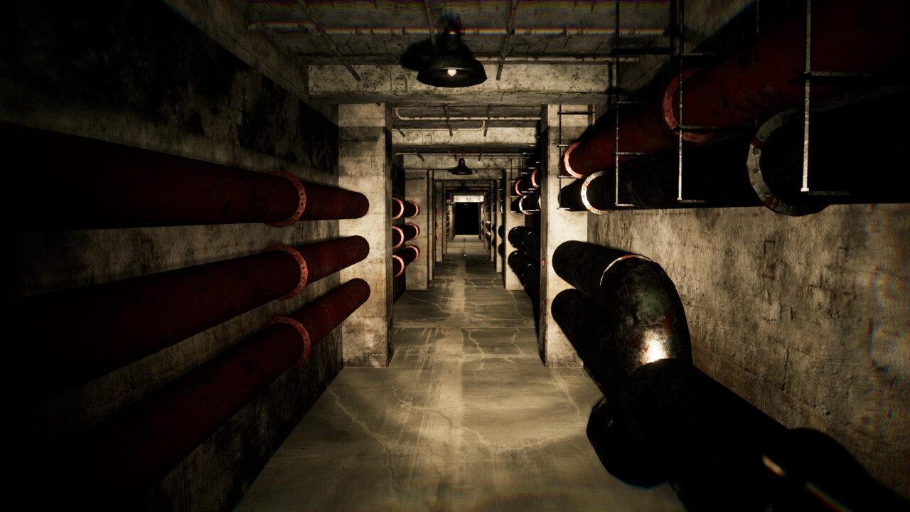 Backrooms Project: The Lost File