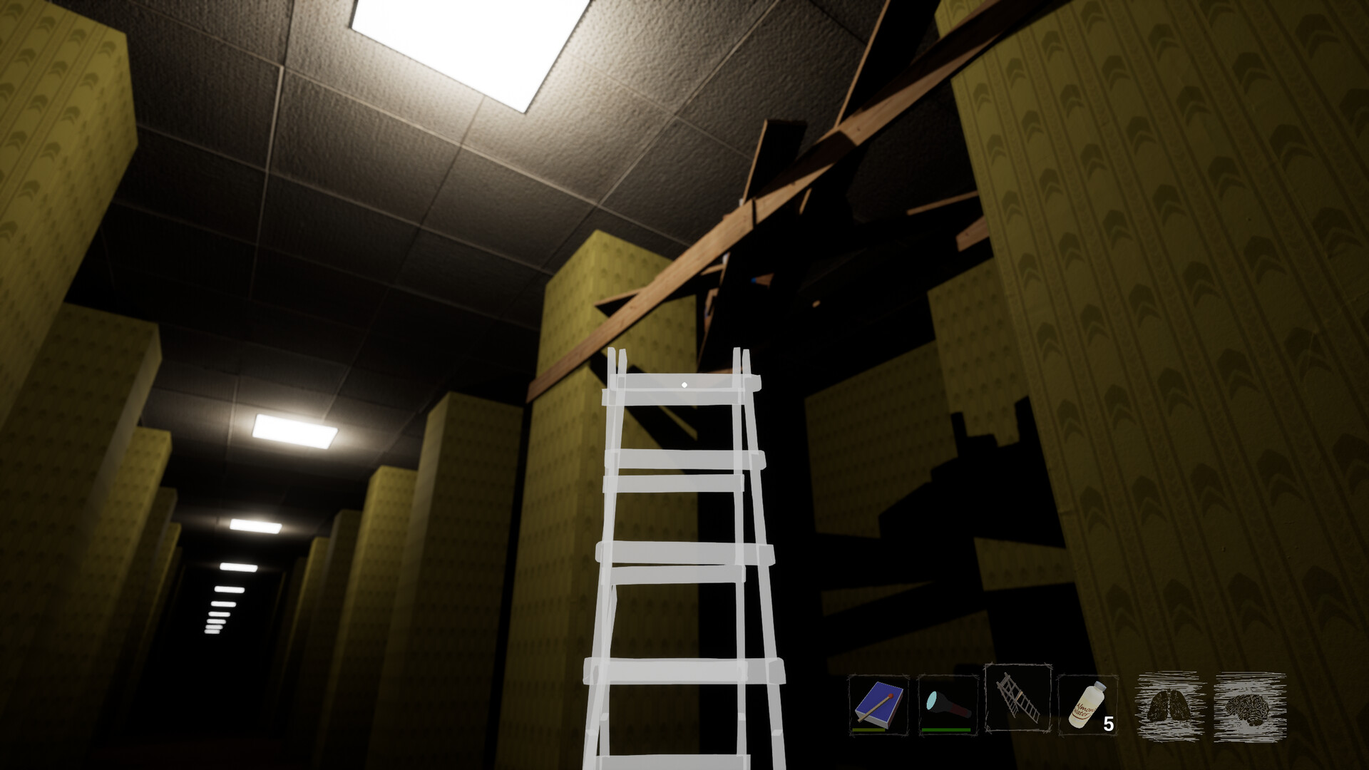 Backrooms Society