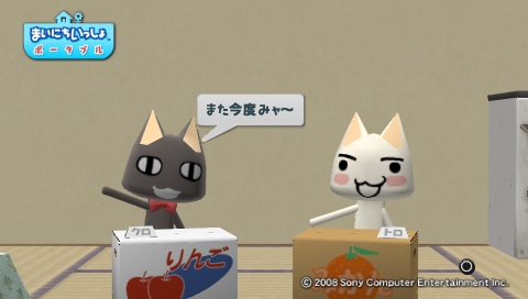 Mainichi Issho Portable