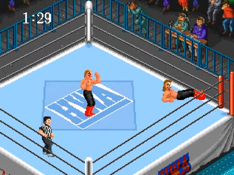 Super Fire Pro Wrestling