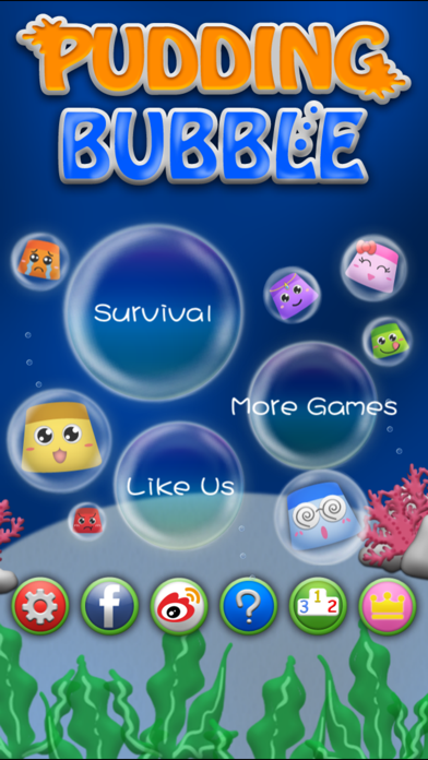 Pudding Bubble