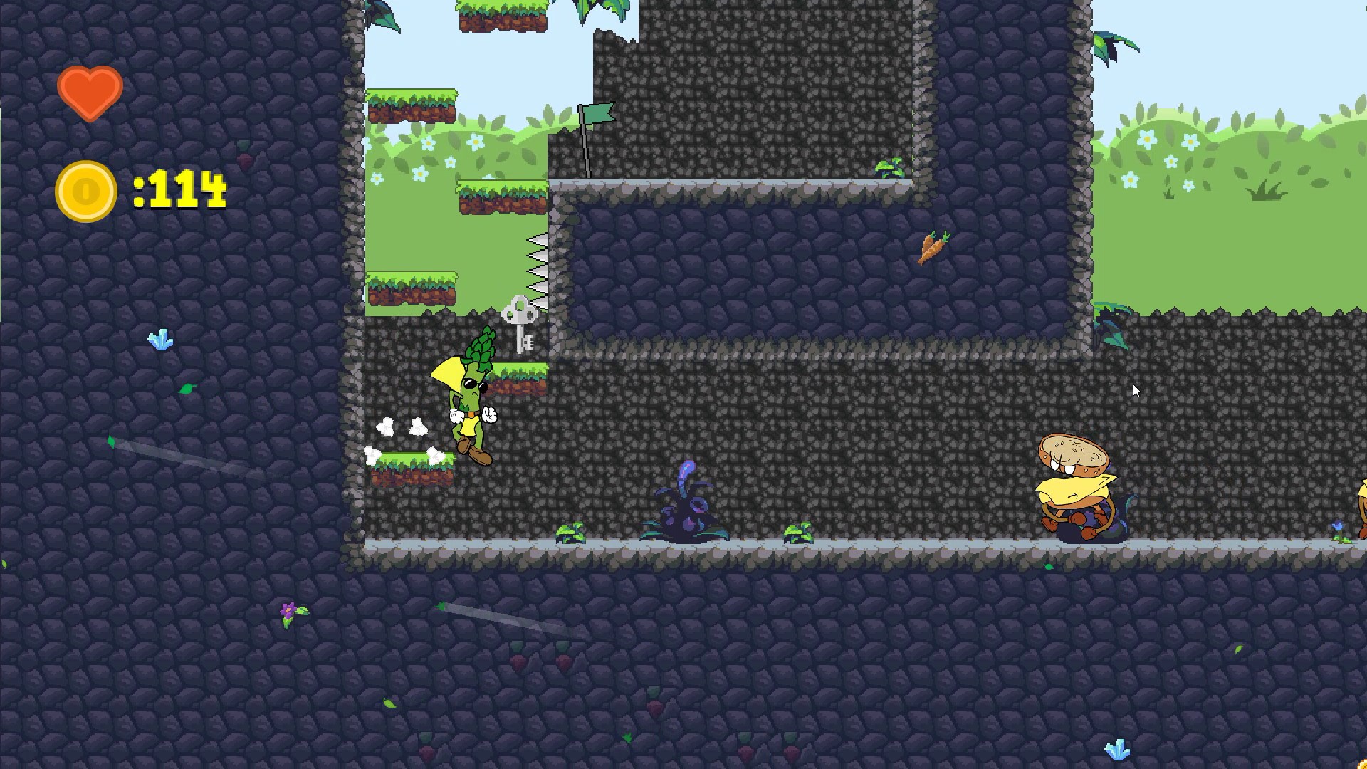 Mr. Brocco &amp; Co.