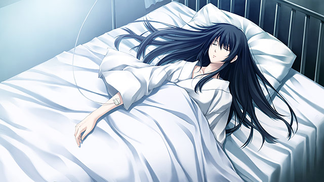 Cartagra: Tsuki Kurui no Yamai – Rebirth FHD Size Edition