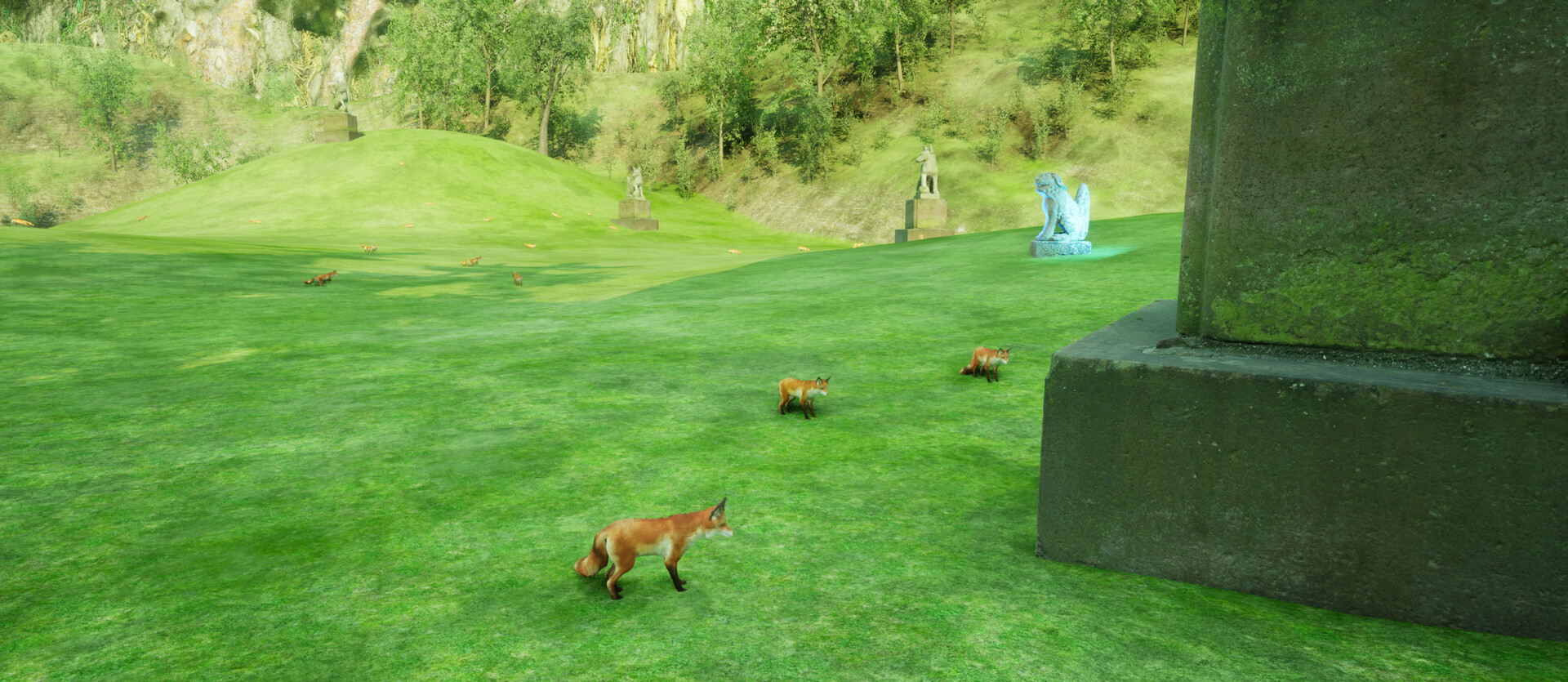 Catch The Fox