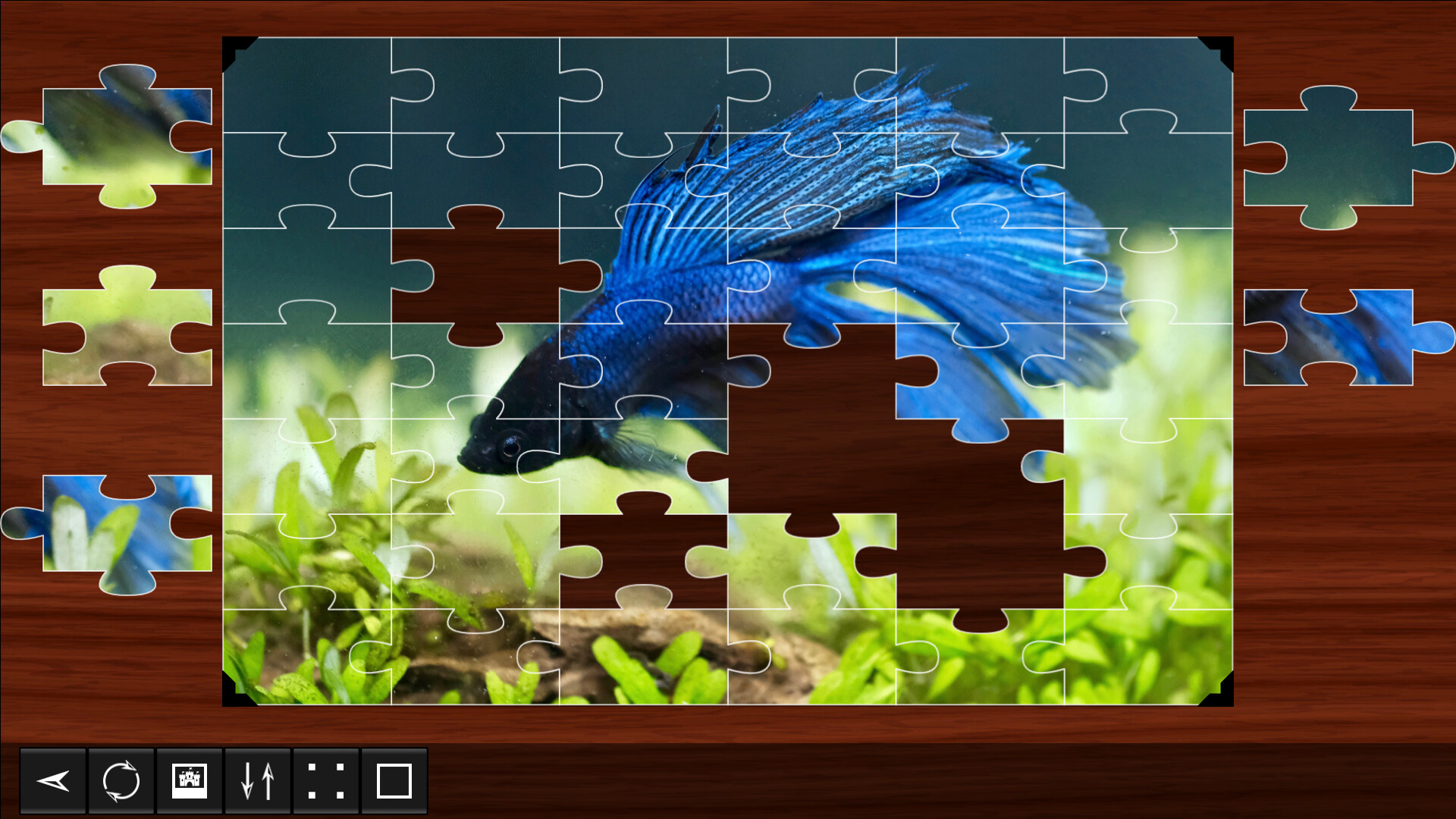 Jigsaw Puzzle World: Fish