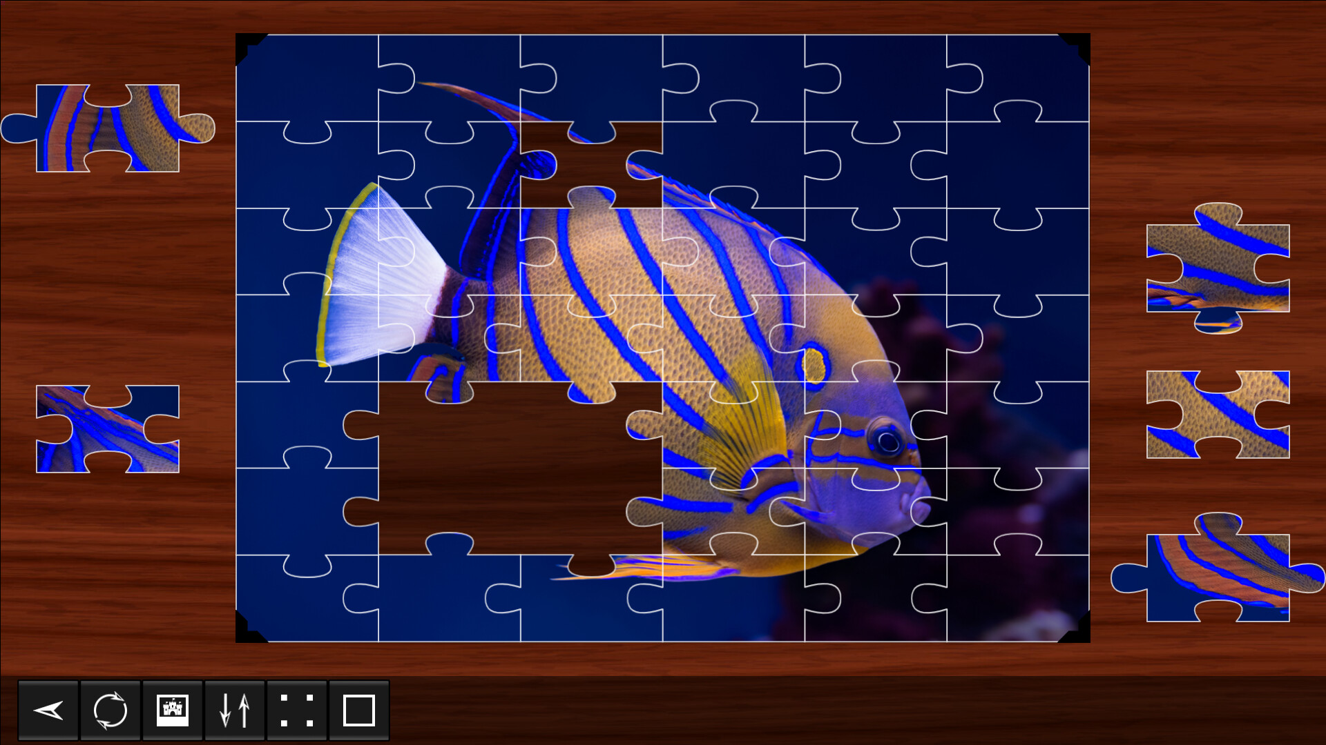 Jigsaw Puzzle World: Fish