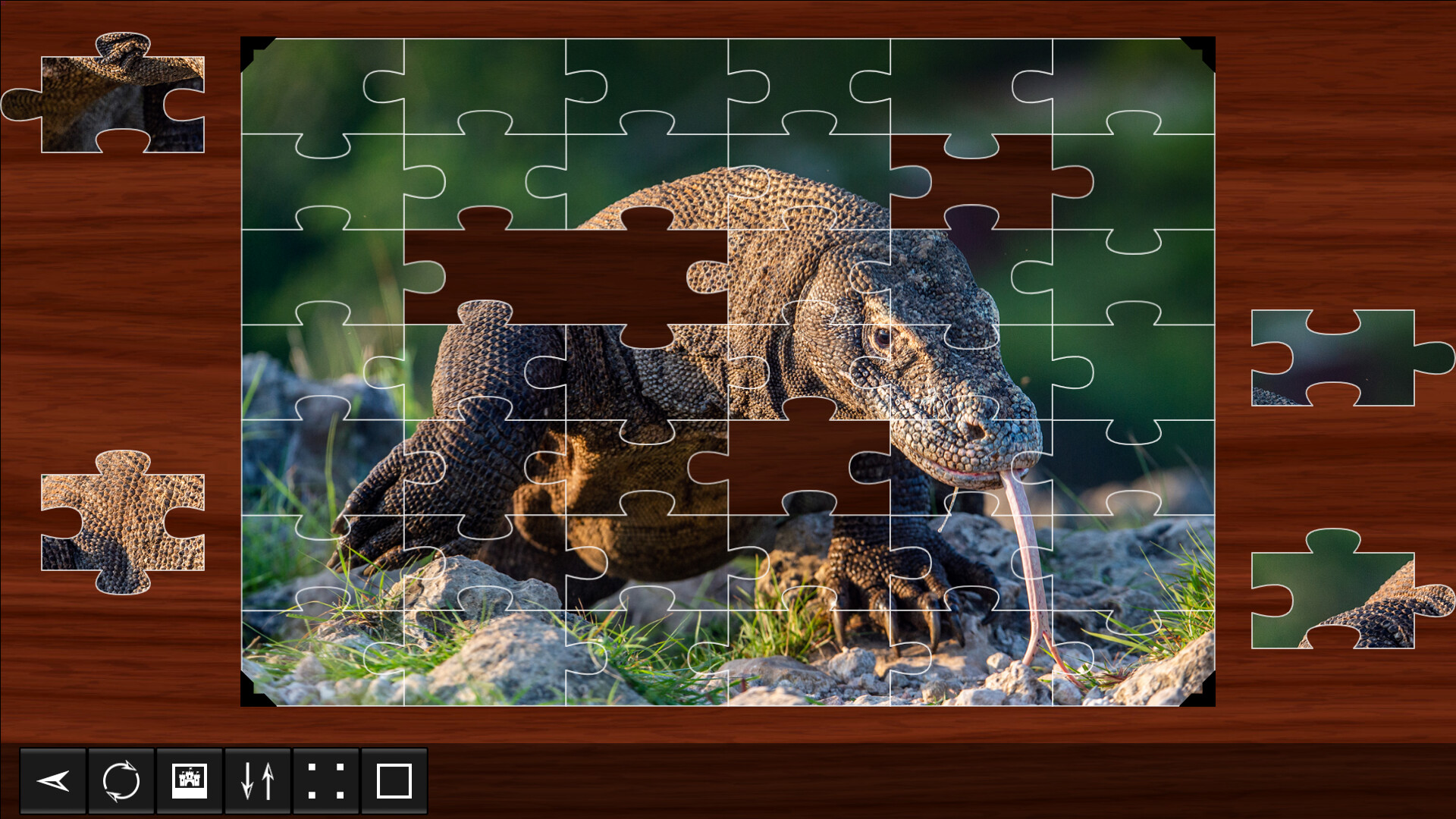 Jigsaw Puzzle World: Reptiles