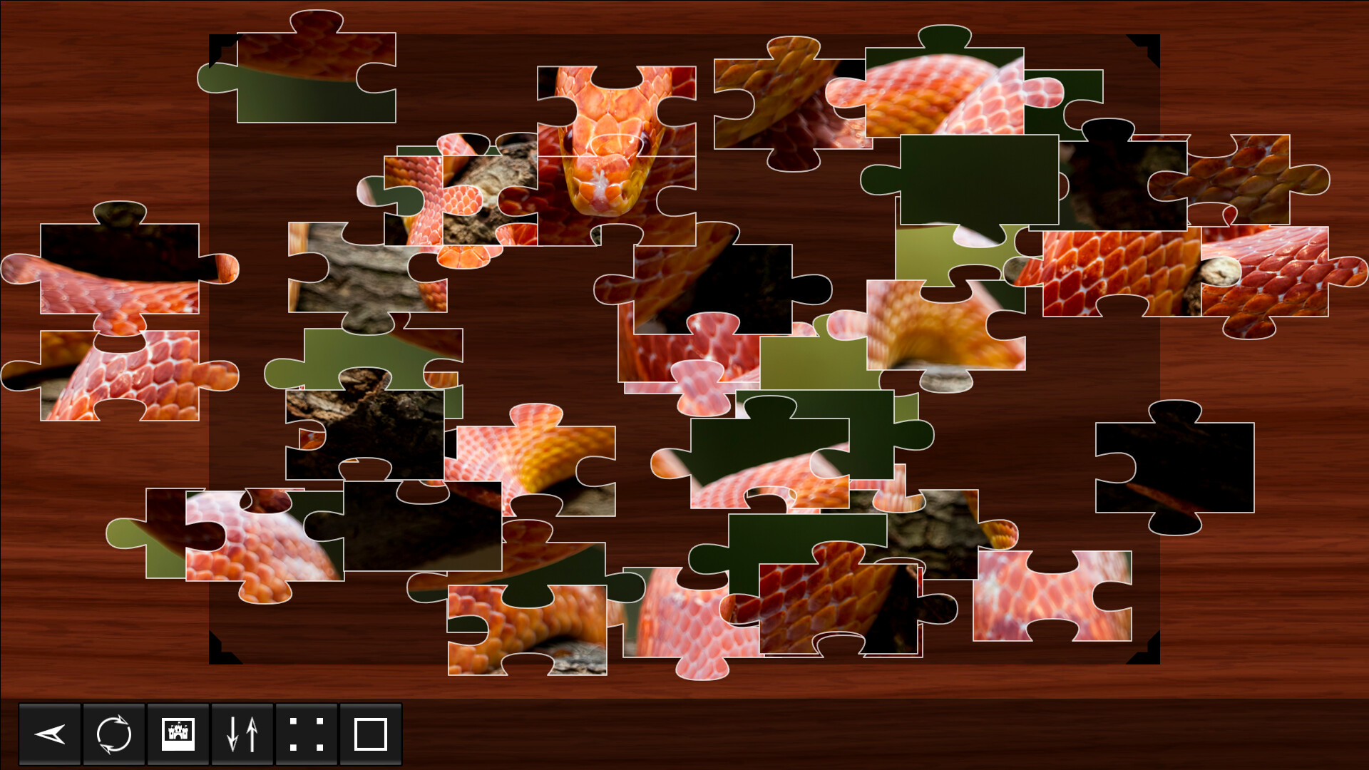 Jigsaw Puzzle World: Reptiles