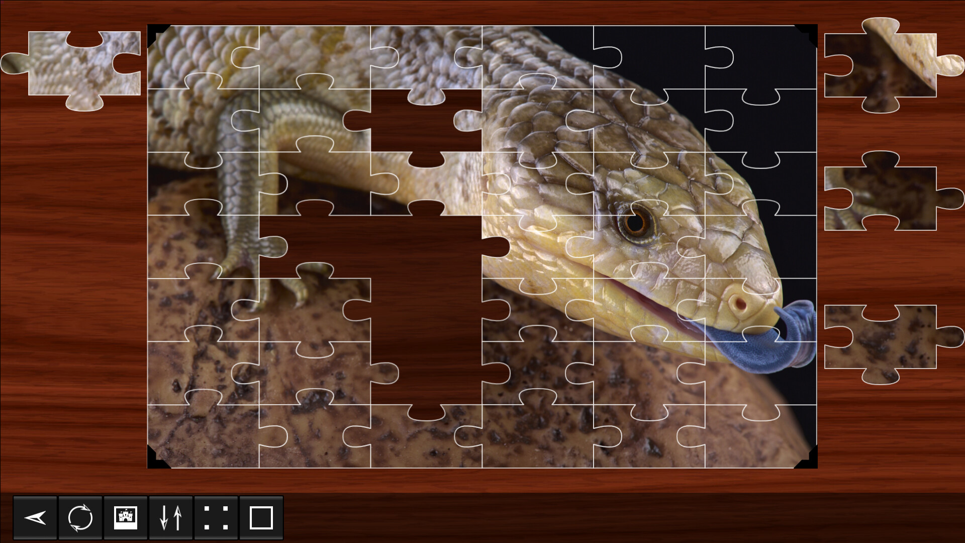 Jigsaw Puzzle World: Reptiles