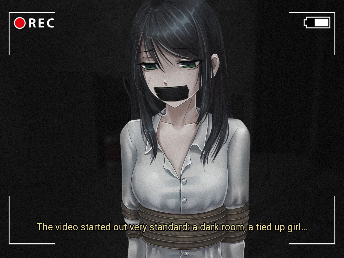 The Girl From the Snuff Video