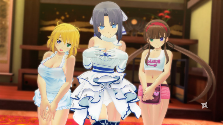 Senran Kagura Burst Re:Newal – Hebijo Character Set