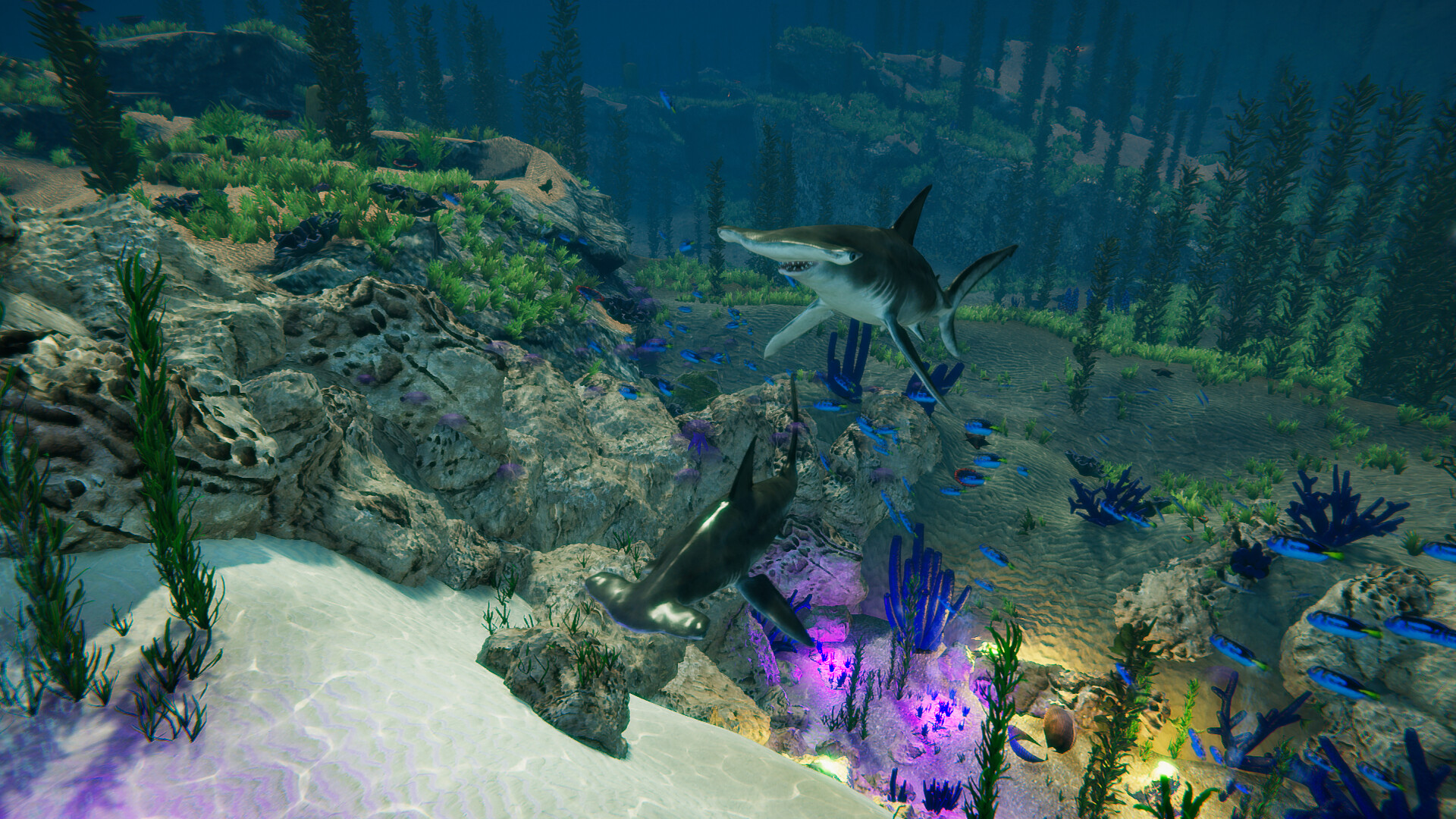 Blue Epic