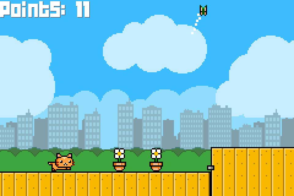 Inside Kitty’s Outside Adventure