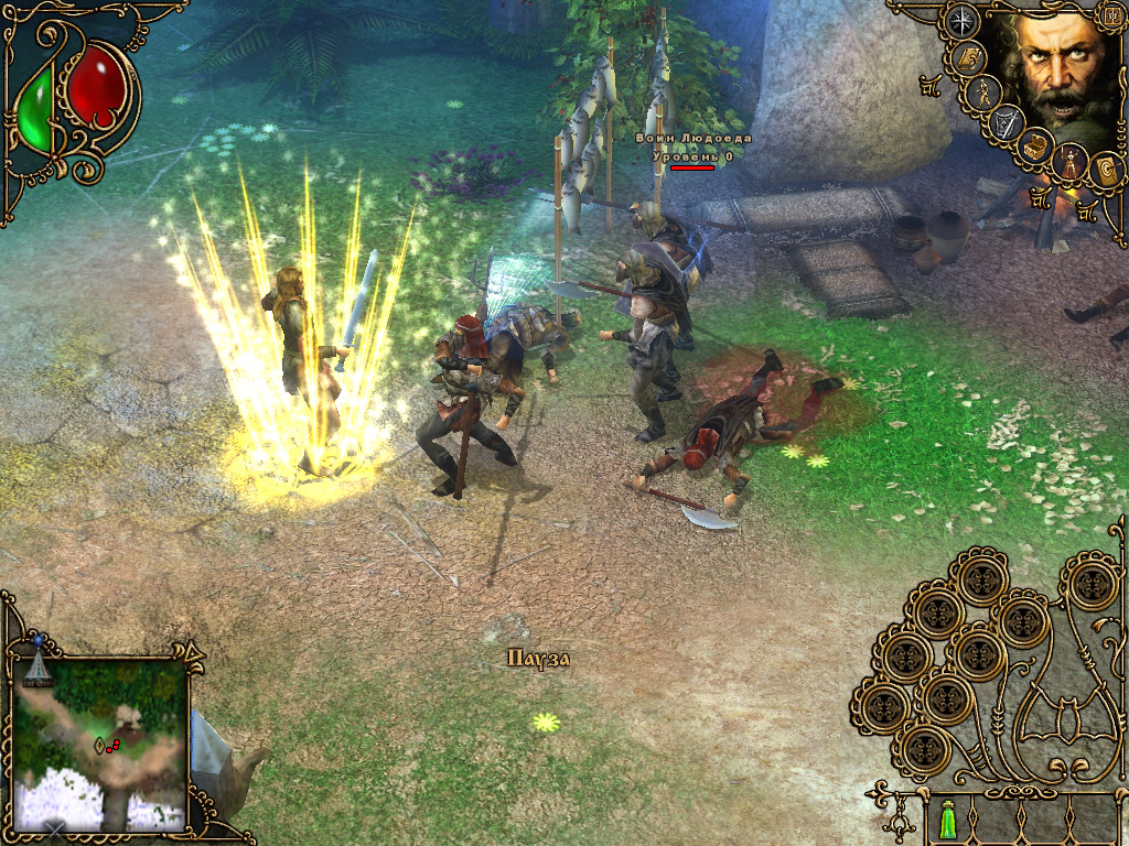 Wolfhound: The Last of the Grey Dogs