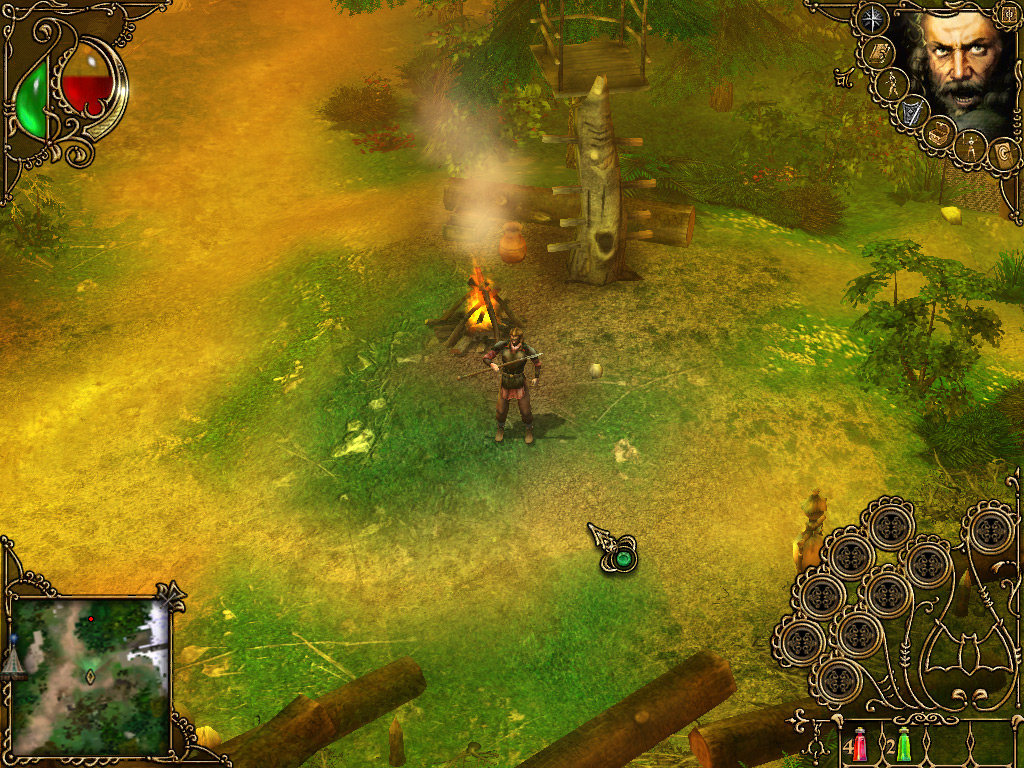 Wolfhound: The Last of the Grey Dogs