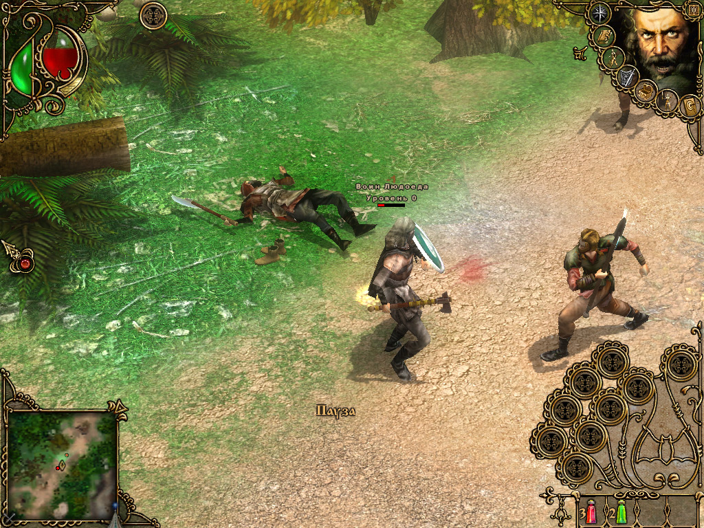 Wolfhound: The Last of the Grey Dogs