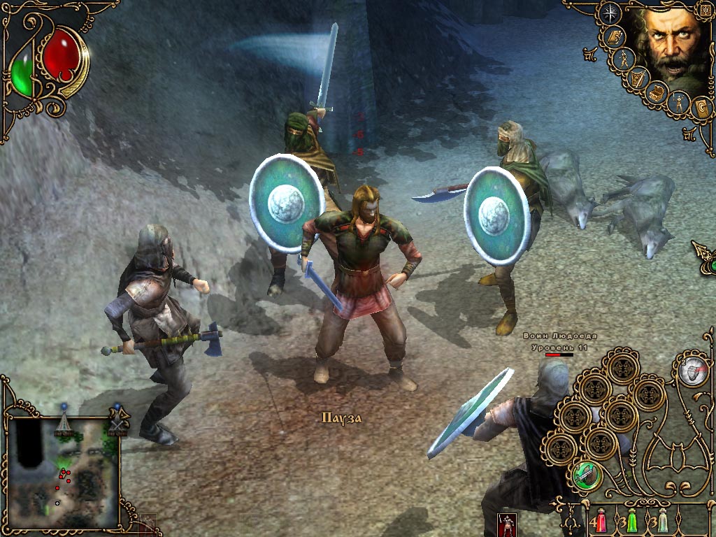 Wolfhound: The Last of the Grey Dogs