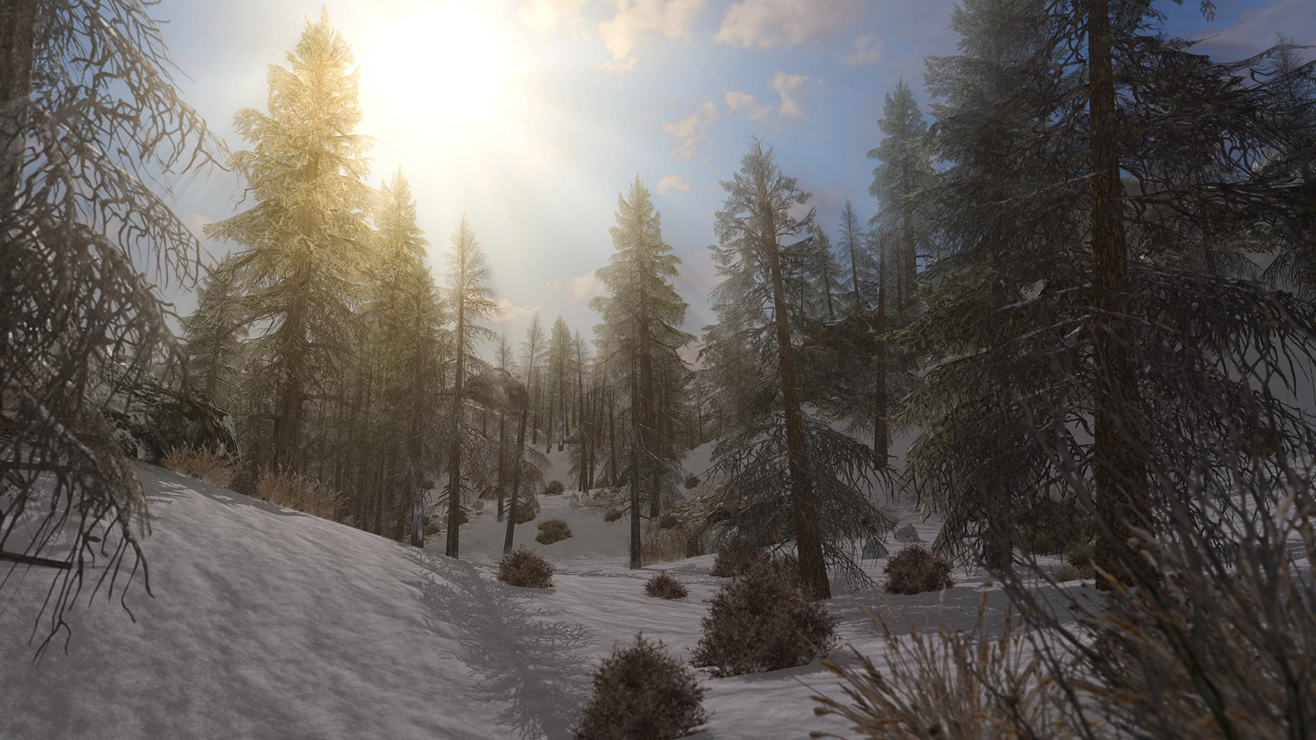 Fallout: The Frontier