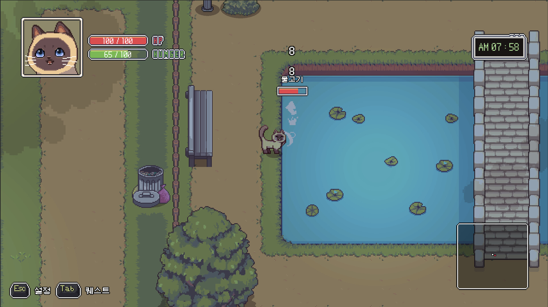 A Street Cat’s Tale 2: Out side is Dangerous