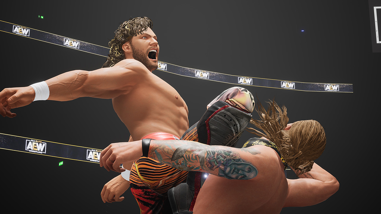 All Elite Wrestling: Fight Forever – Elite Edition