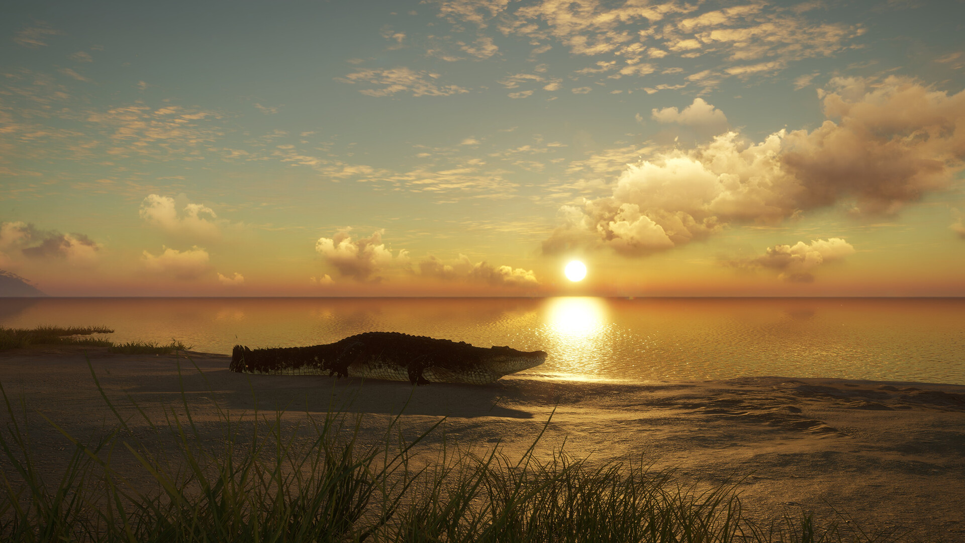 theHunter: Call of the Wild – Emerald Coast Australia