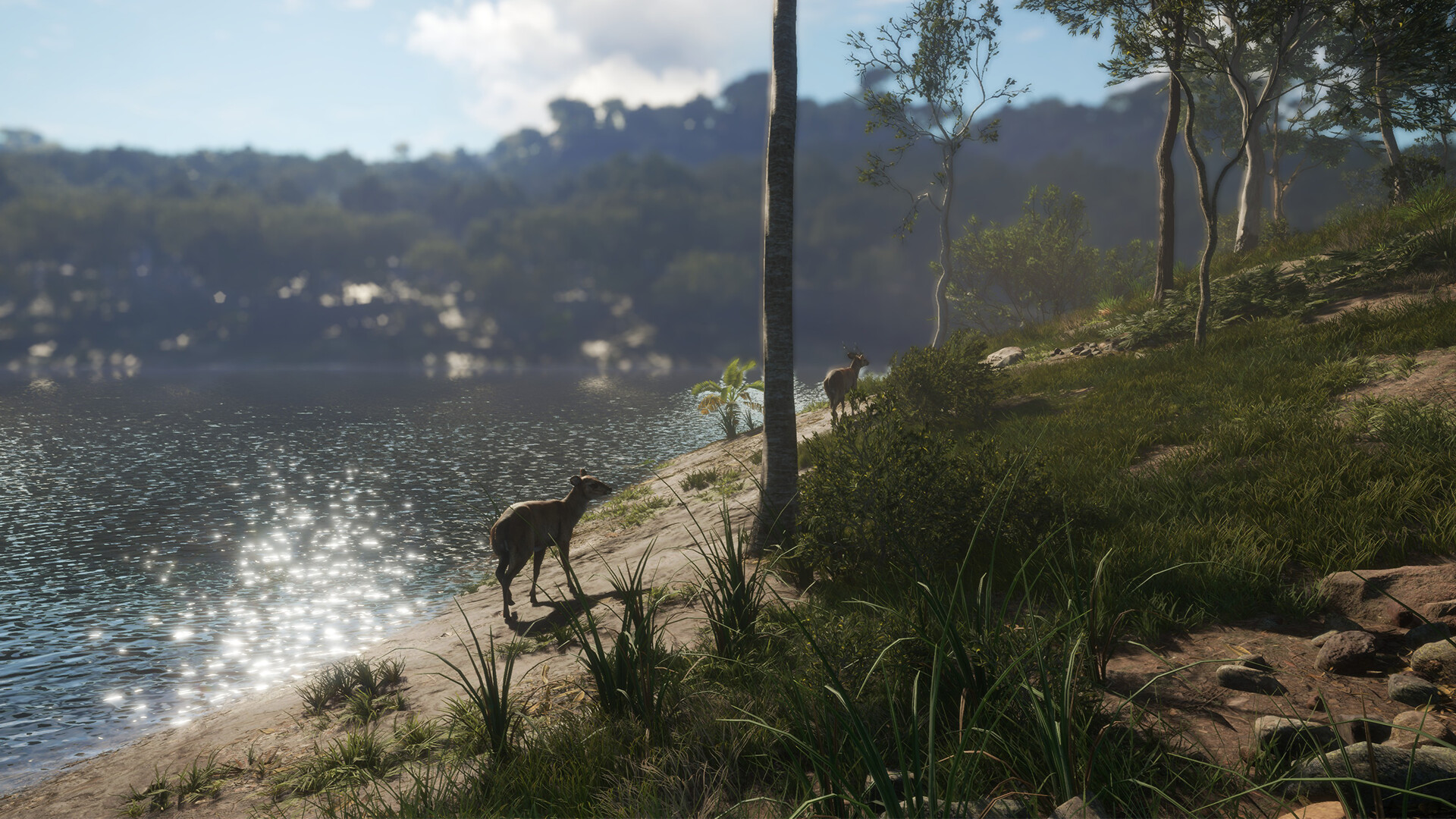 theHunter: Call of the Wild – Emerald Coast Australia