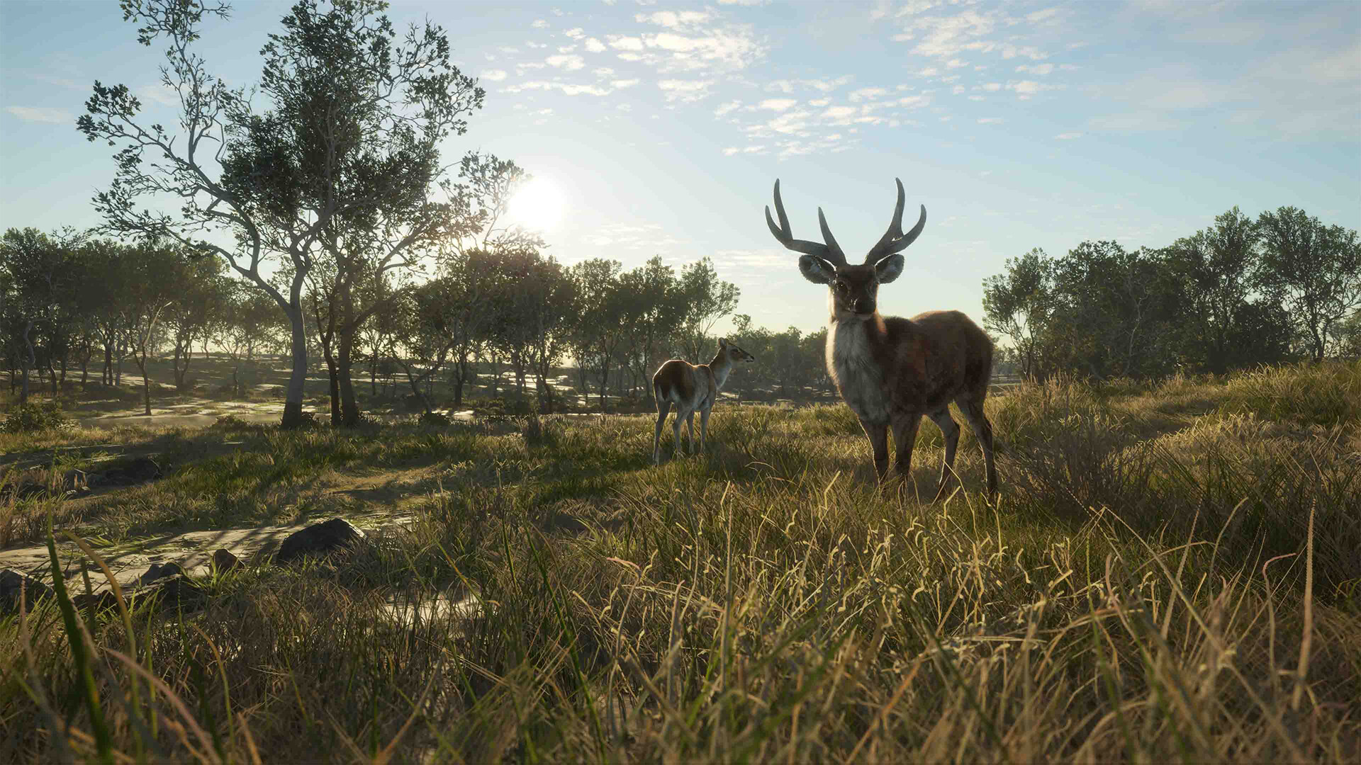 theHunter: Call of the Wild – Emerald Coast Australia