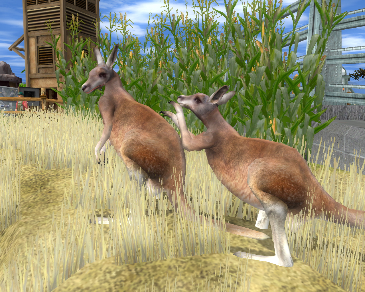 Wildlife Park 2: Crazy Zoo