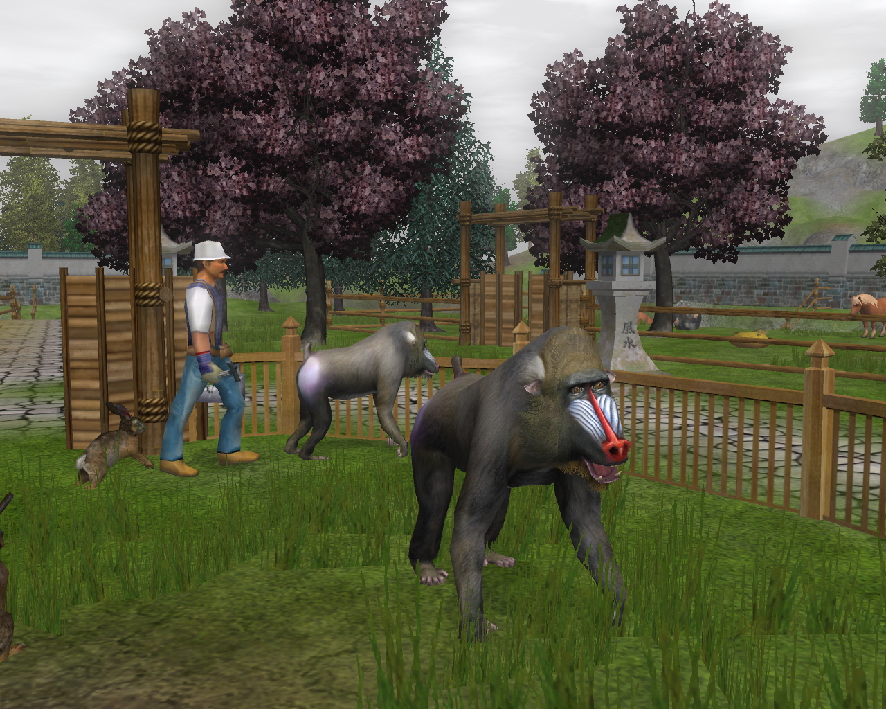 Wildlife Park 2: Crazy Zoo