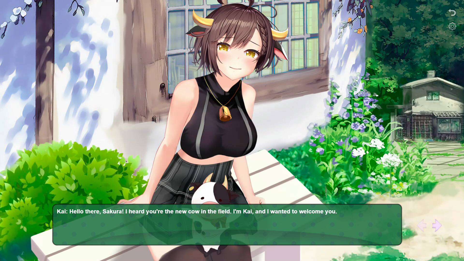 Cow Girls 3 Stories