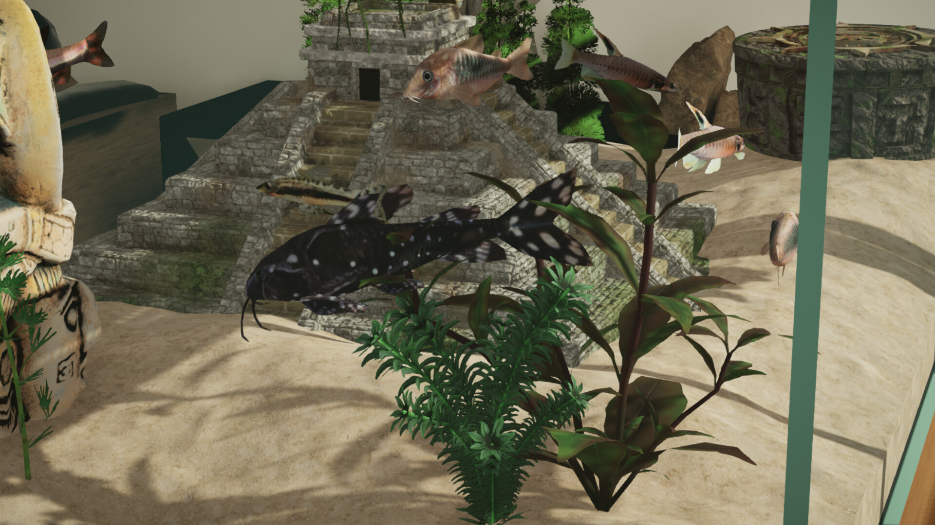 Aquarium Designer: Amazonia