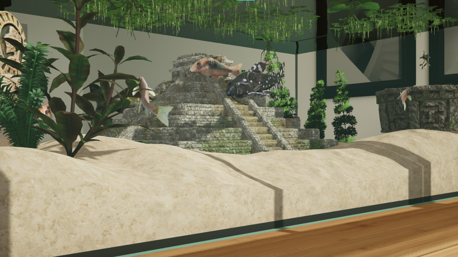 Aquarium Designer: Amazonia