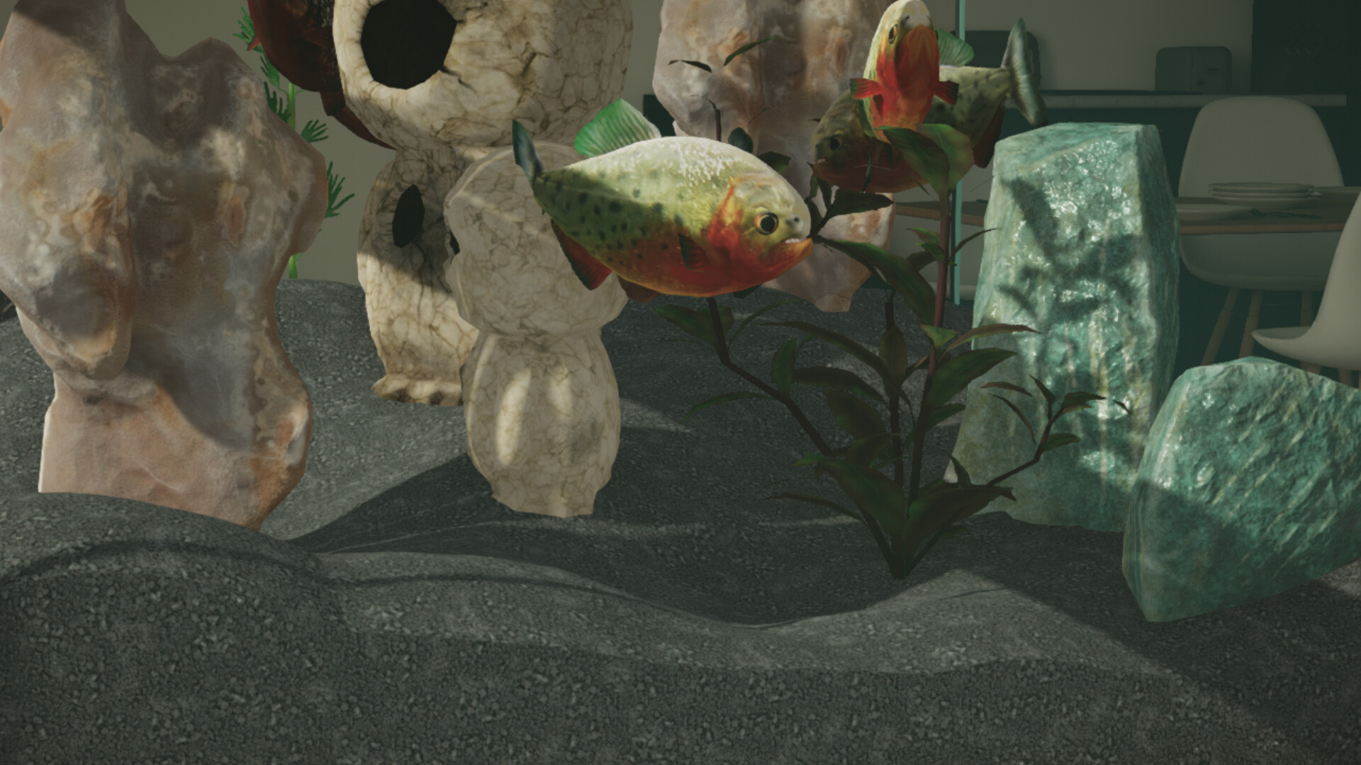 Aquarium Designer: Amazonia