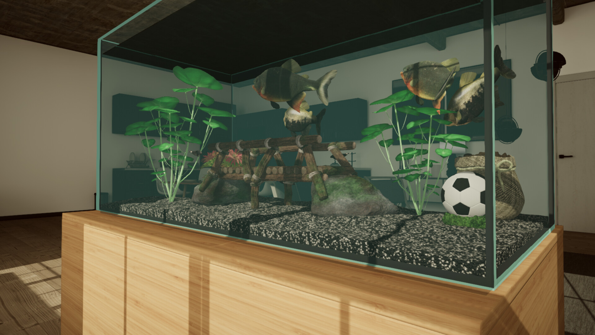 Aquarium Designer: Amazonia