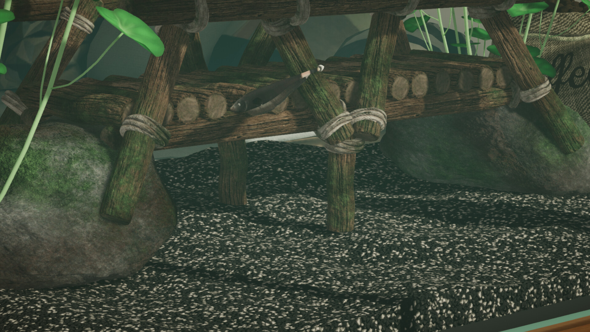 Aquarium Designer: Amazonia