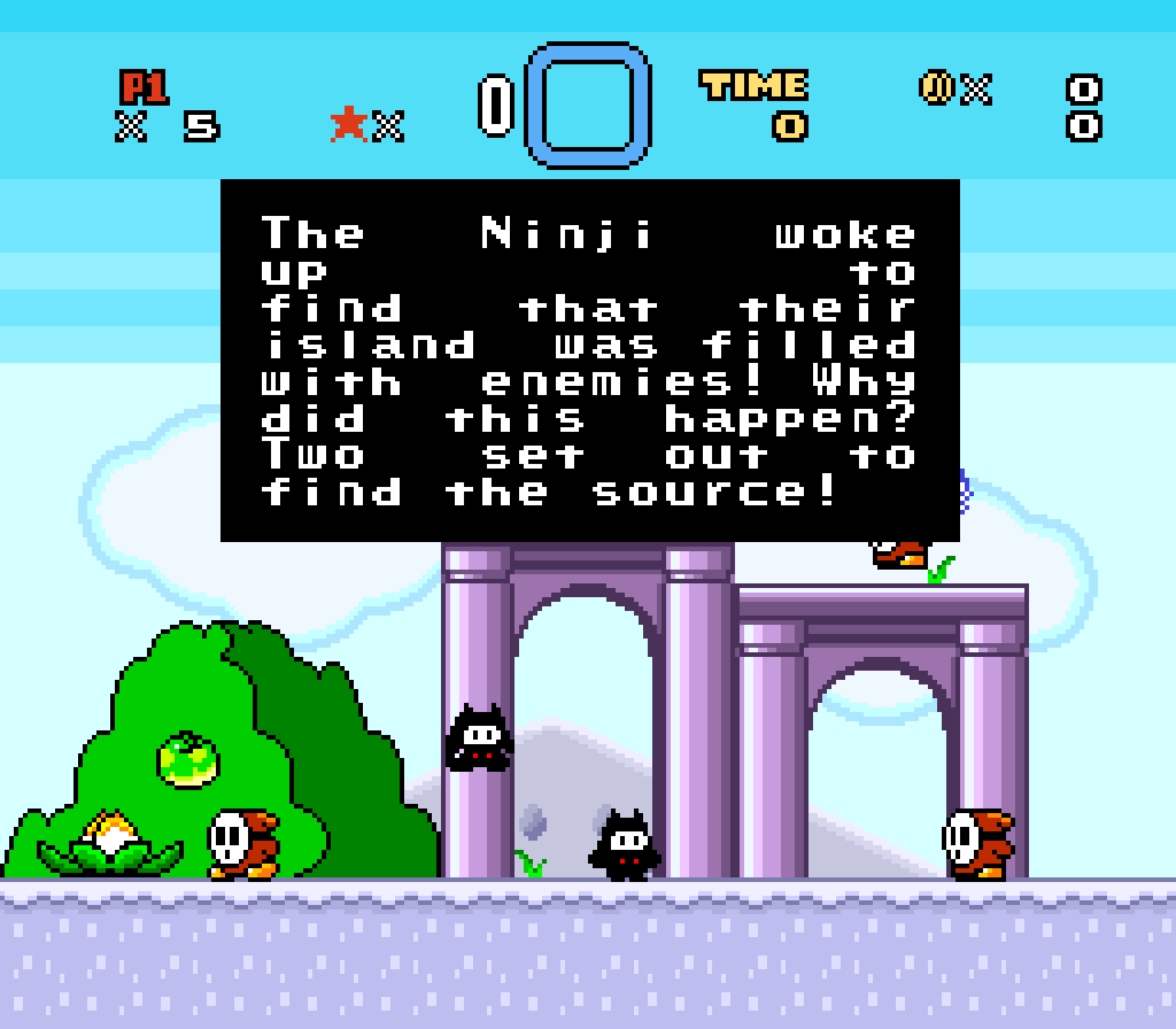 Super Ninji Land