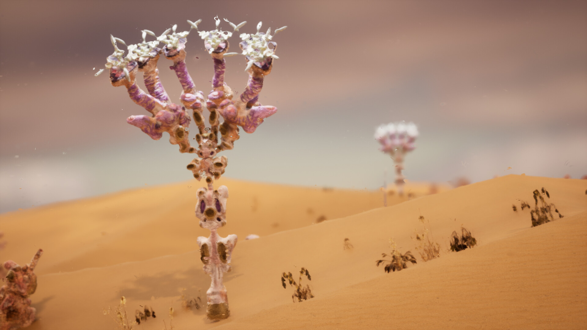 Third World: The Bottom Dimension