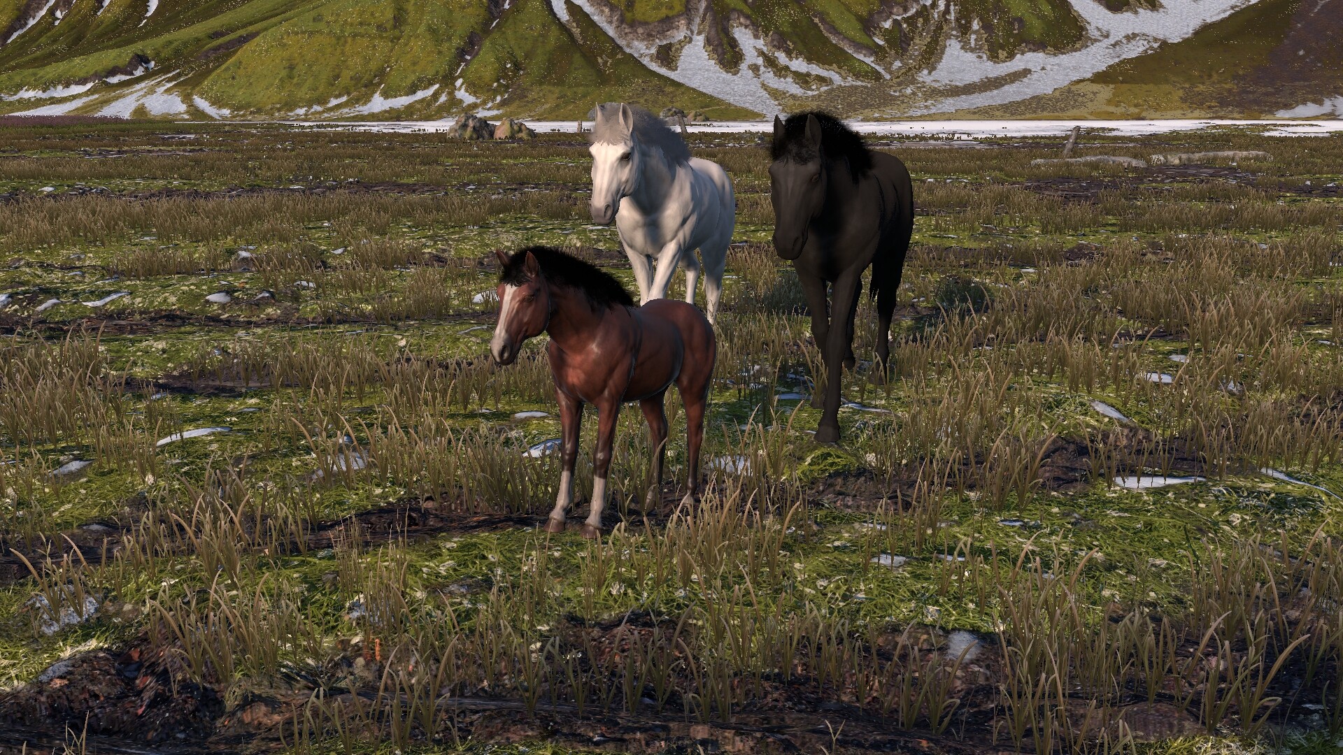Horse Life: Find Horses in Open World, Survive in Wild Nature as a Foal or Pony