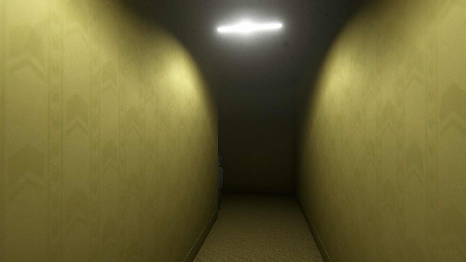 Backdoors