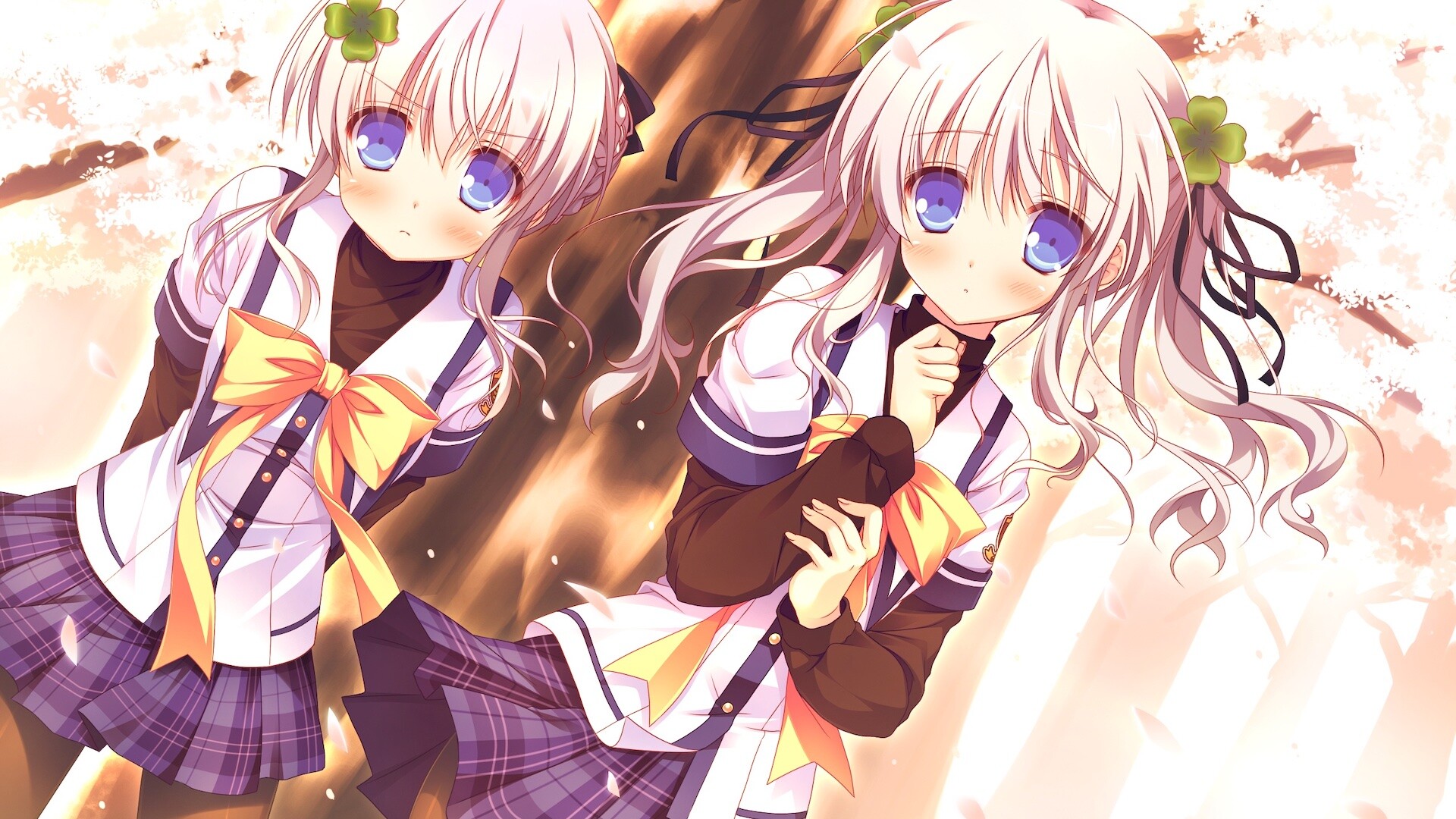 Clover Day’s Plus