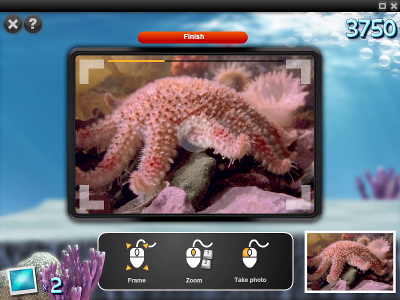 Adventure Reporter Ocean