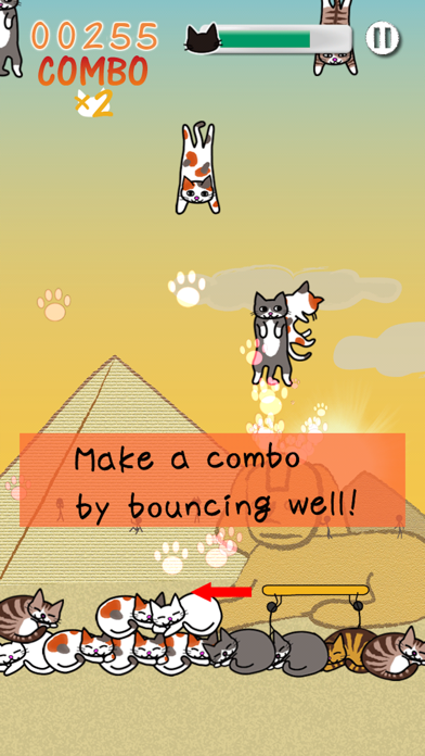 Cat Raid