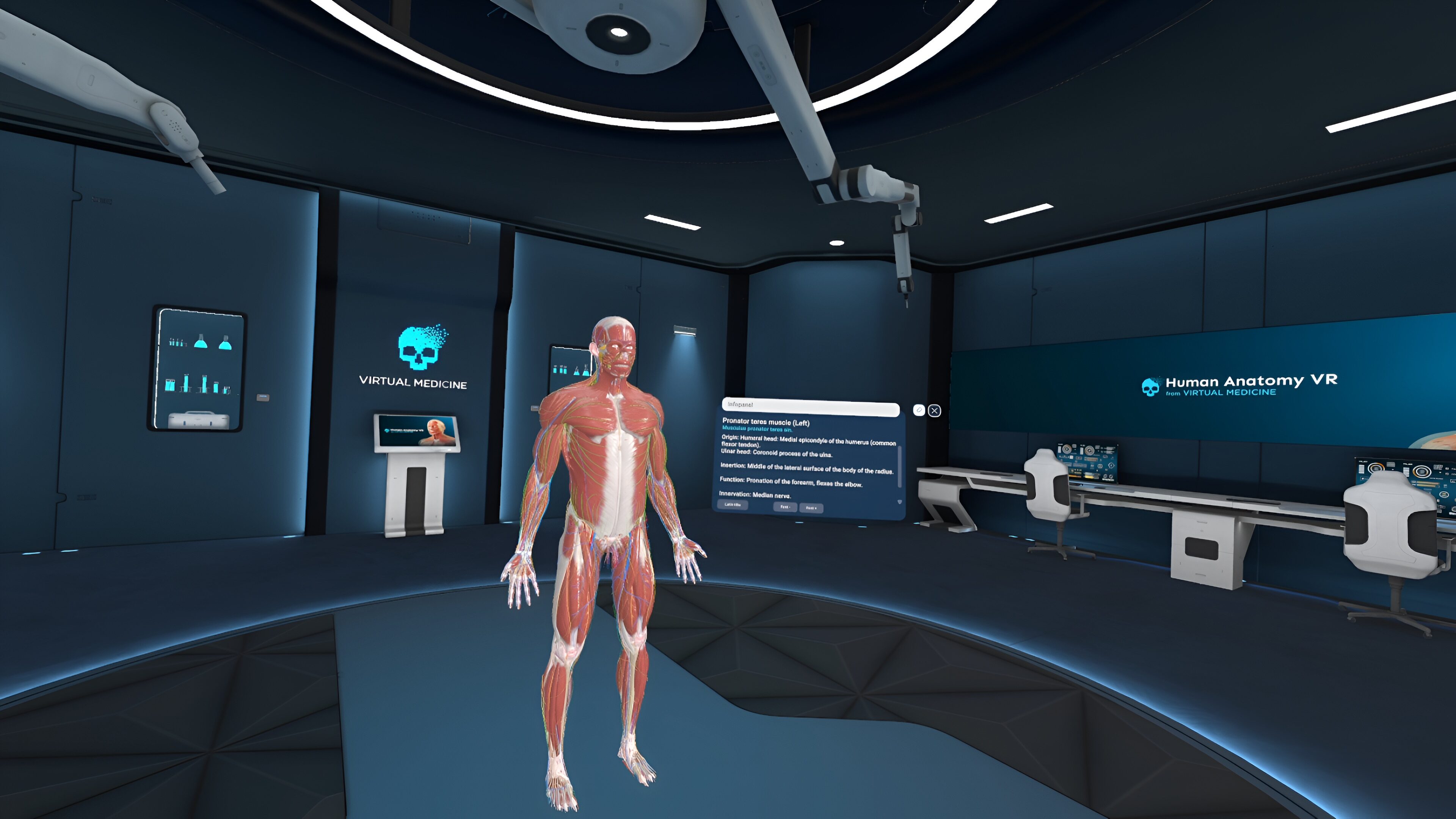 Human Anatomy VR