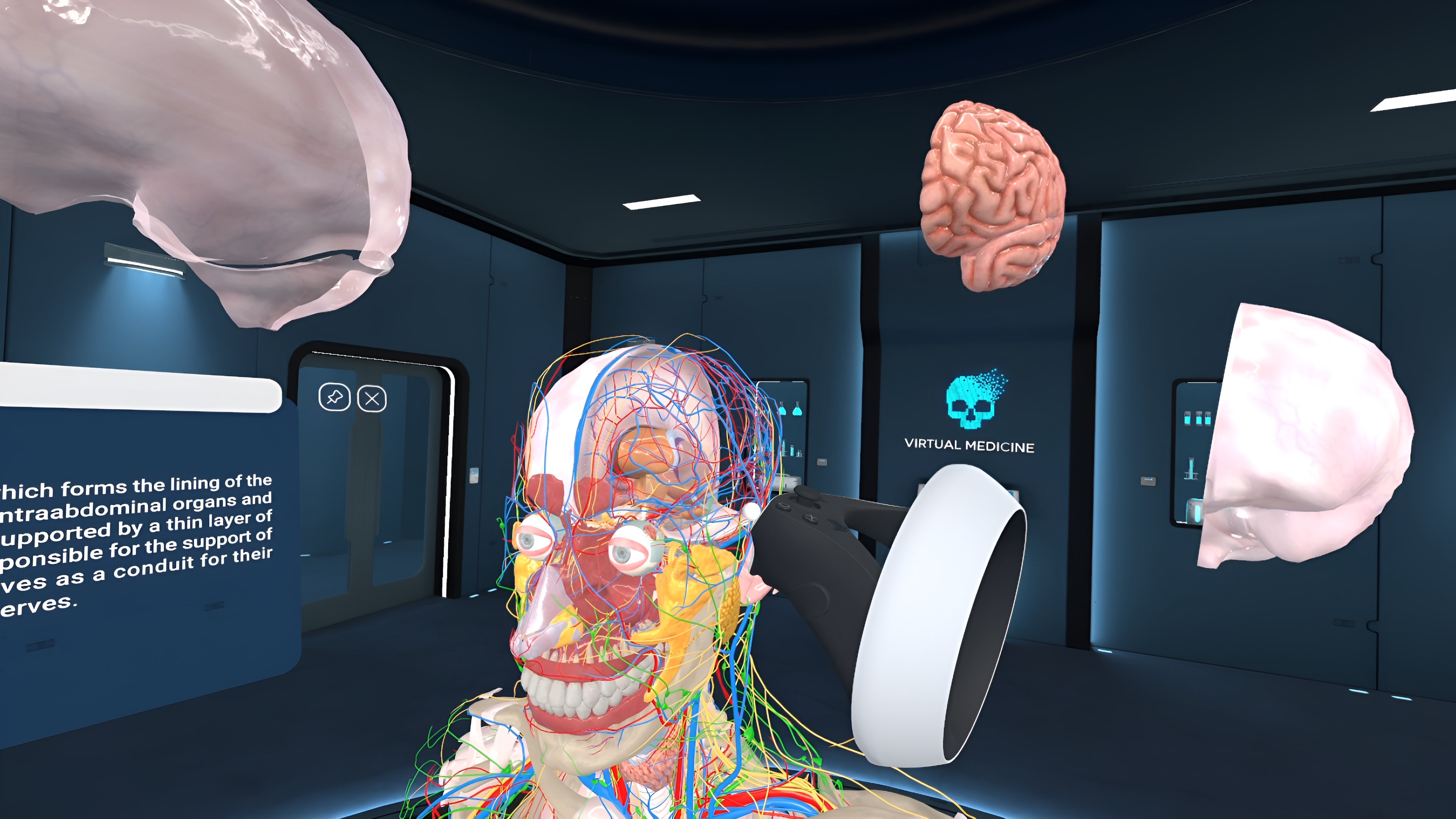 Human Anatomy VR