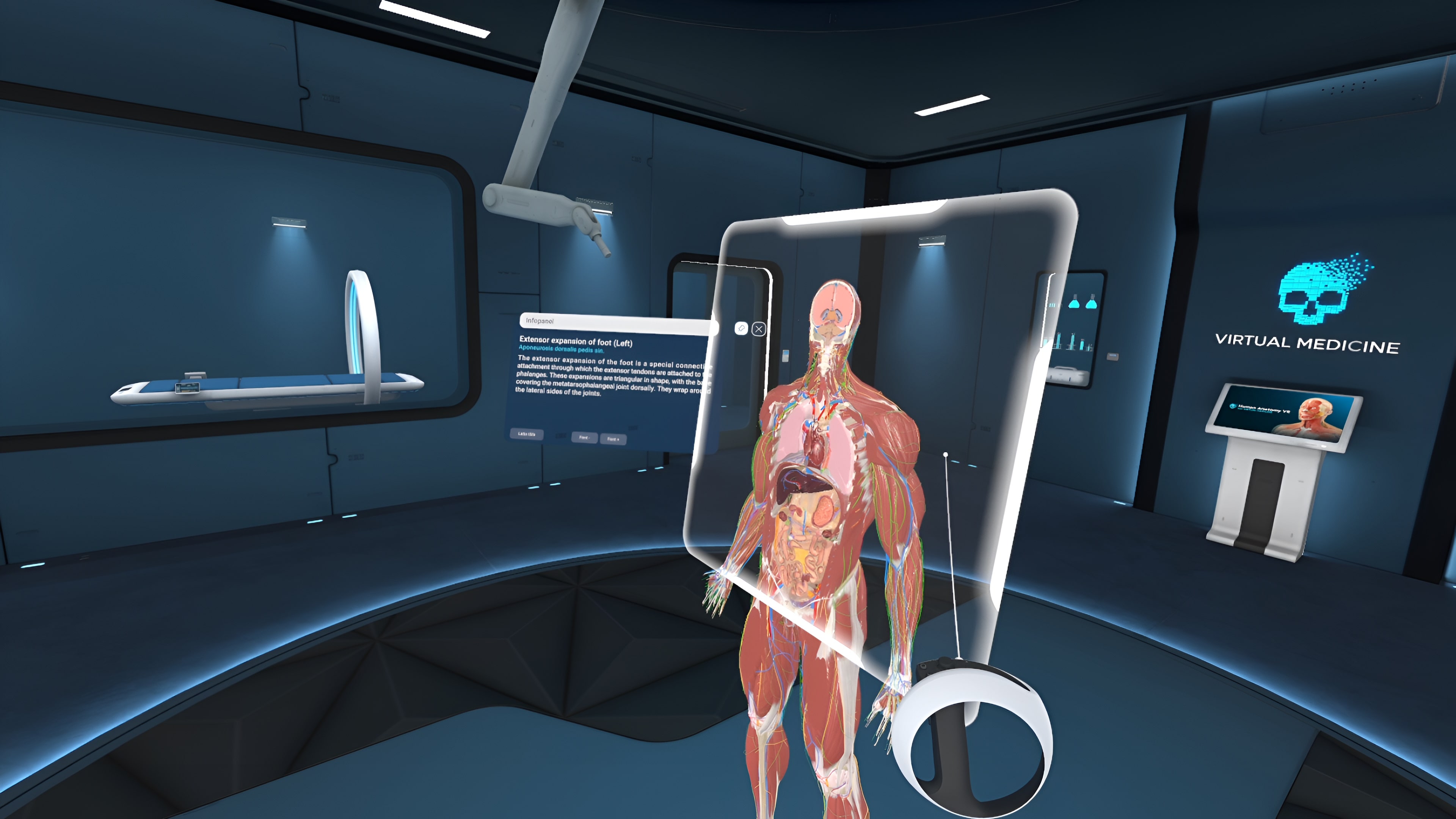 Human Anatomy VR