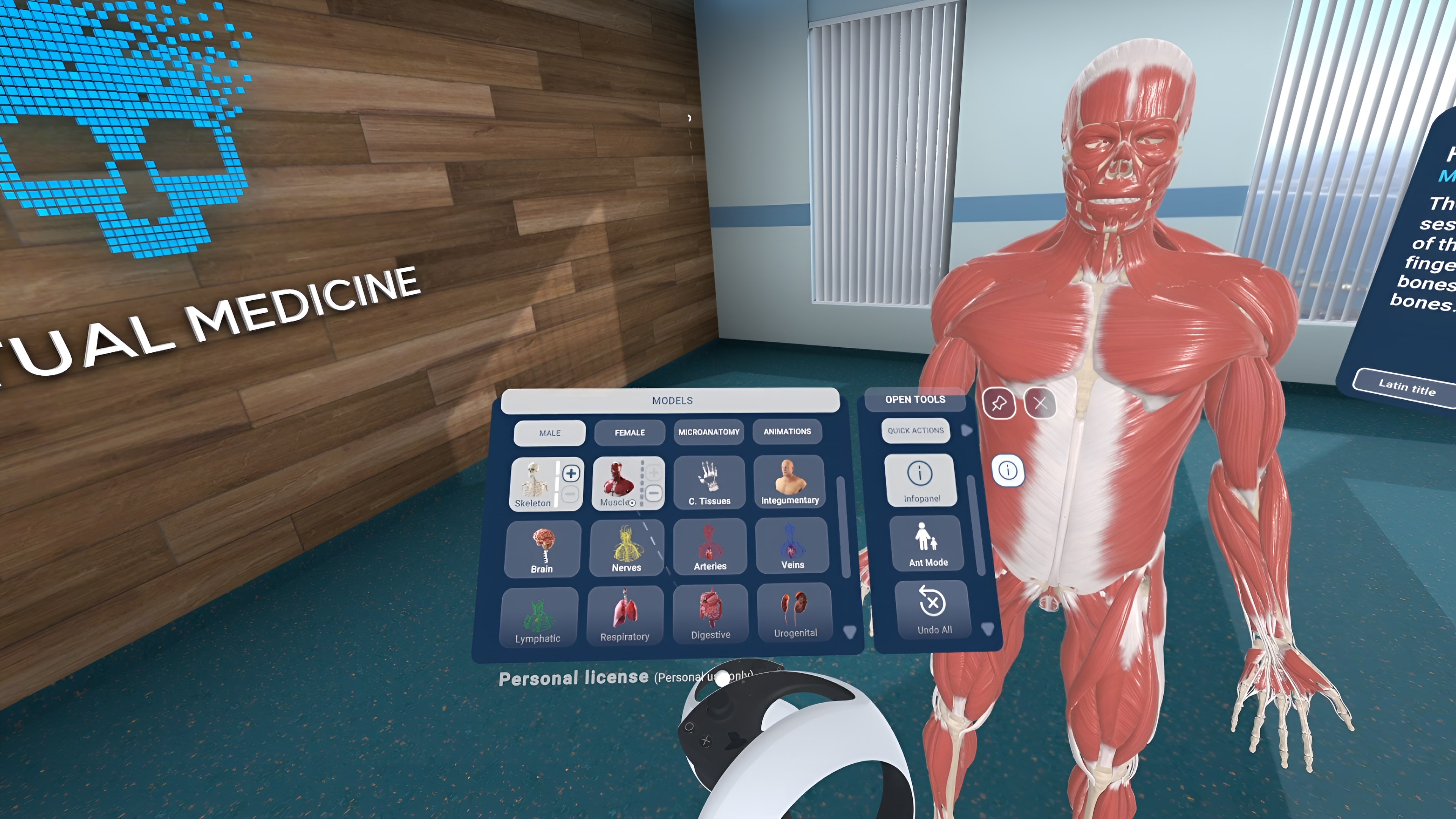 Human Anatomy VR