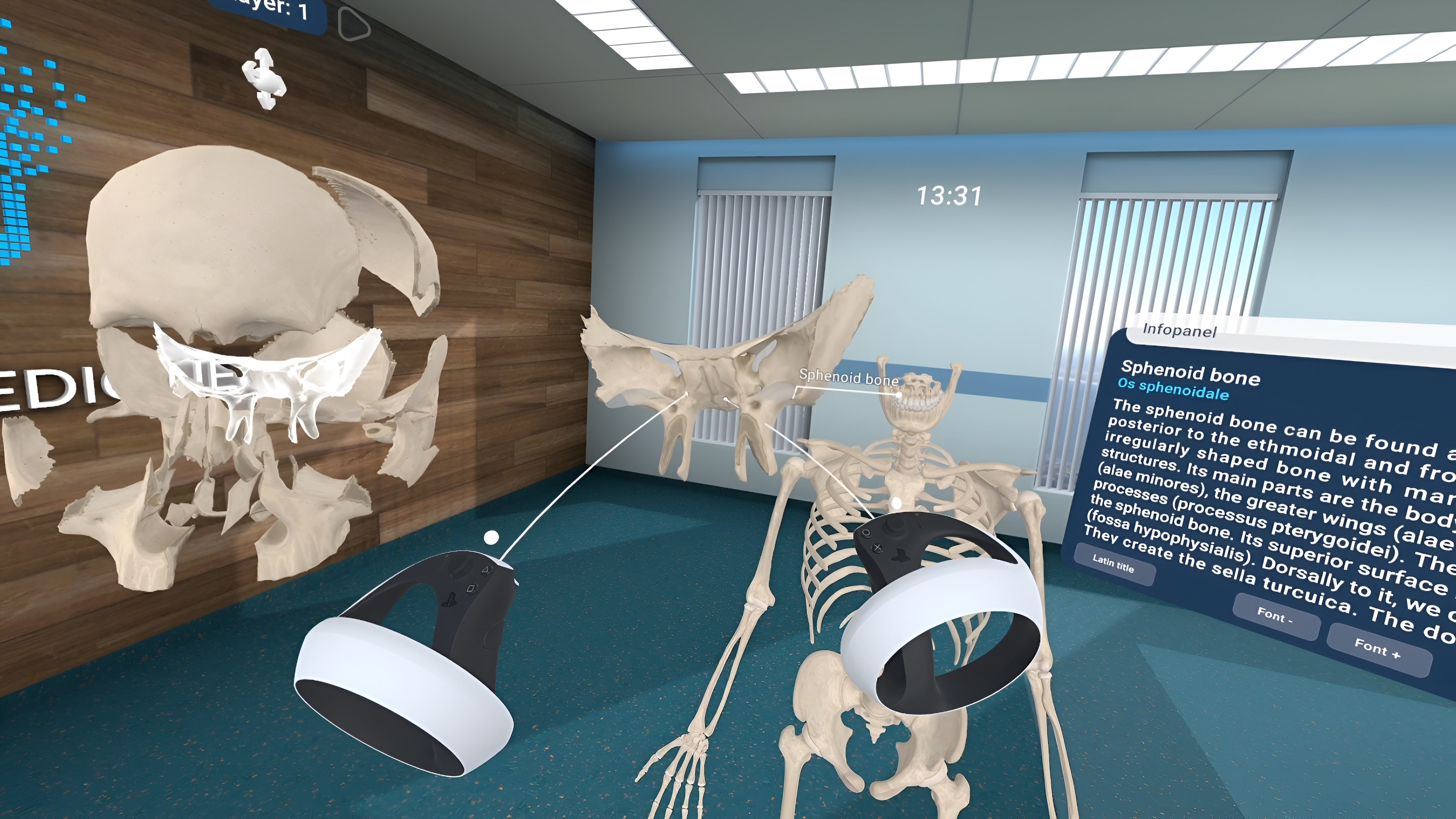 Human Anatomy VR
